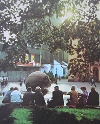 Horninamesti (50)